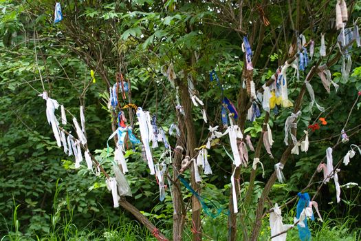 green leaves and variegated rags
