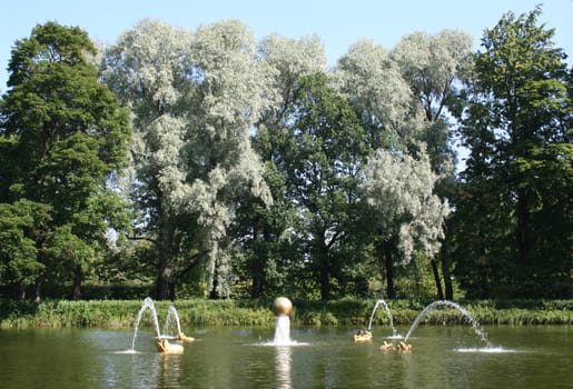 pond in the well-groomed park
