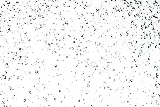Close-up of water drops on white background