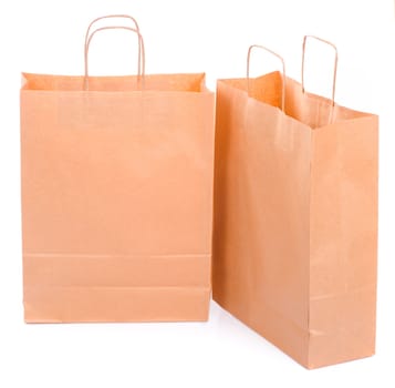 two ecological paper bags