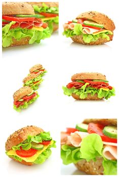 Collage of many different fresh sandwichs with cheese or ham