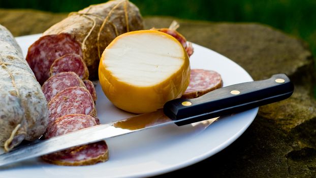 Traditonal italian salami with cheese shot in natural light. Selective focus on cheese.