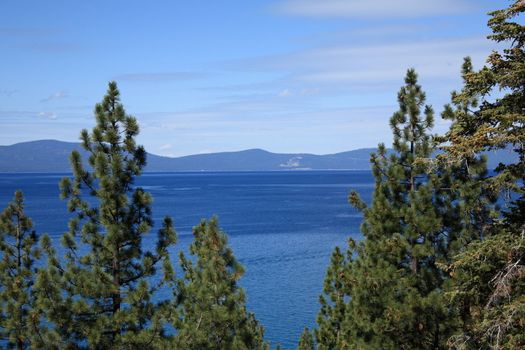 View of Lake Tahoe through pine trees