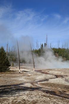 Sloping landscape near Yellowstone Lake, in the West Thumb Geyser Basin.