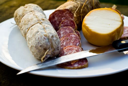 Traditonal italian salami with cheese shot in natural light. Selective focus on salami slices.