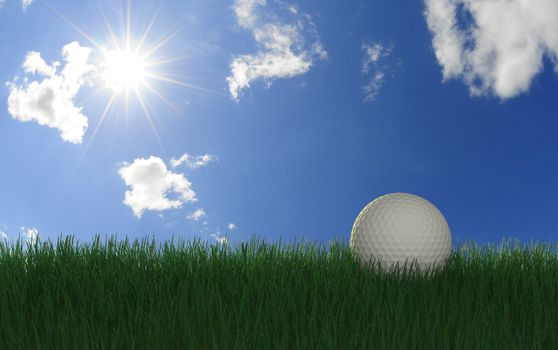 Golfball in long grass with evening sun