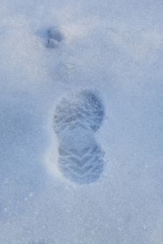  trace on the snow