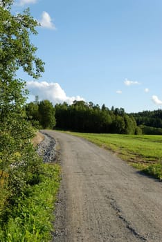 A dirt track, leading through countryside.
