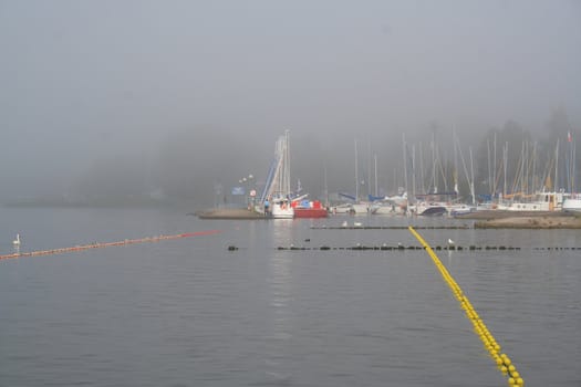 Harbour In The Fog