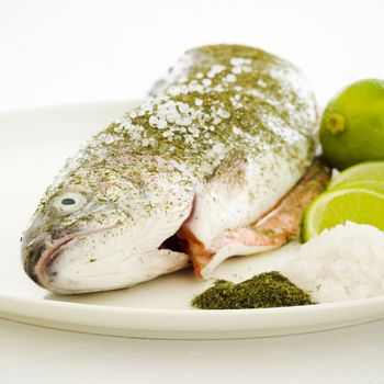 Salmon prepared for warm smoking on the plate with dill, sea salt and lime