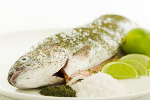 Salmon prepared for warm smoking on the plate with dill, sea salt and lime