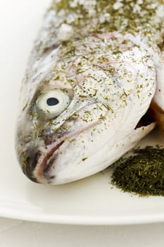 Salmon prepared for warm smoking on the plate with dill, sea salt and lime