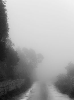 Dense fog enveloping all the surroundings at Dingli Cliffs in Malta on Monday 7th March 2010