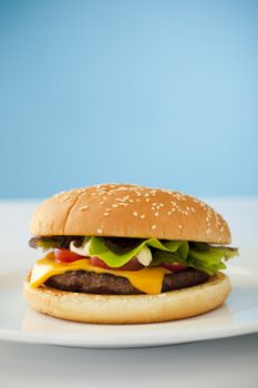 Homemade cheese burger on the plate over blue background