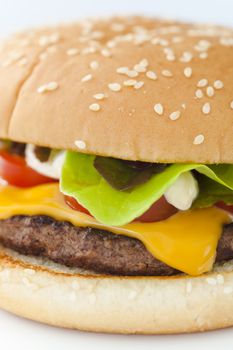 Homemade cheese burger on the plate over white background