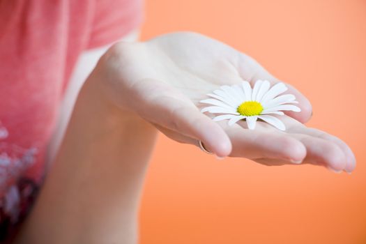 Hand with single flower over a orange background