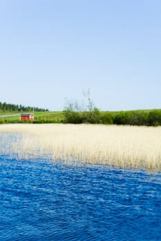 Lake in a summer day (location Finland) (selective focus)