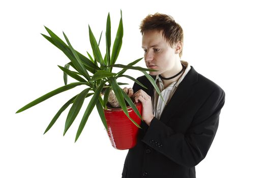 Businessman holding a pot with green palm.