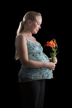 A pregnant young woman holding flower on a black background.