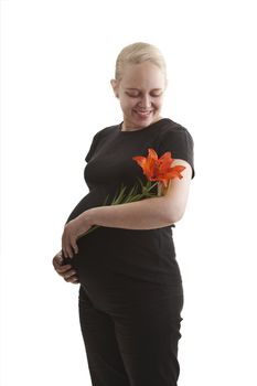 Pregnant lady holding a red/orange flower on a white background