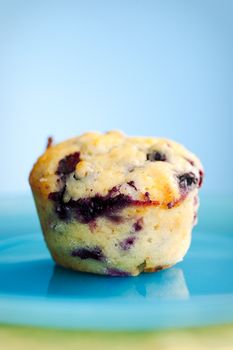Close up of blueberry muffin on the blue plate