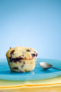 Close up of blueberry muffin on the blue plate