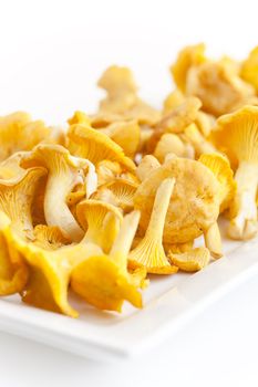 fresh golden chanterelles piled on the table