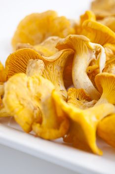 fresh golden chanterelles piled on the table