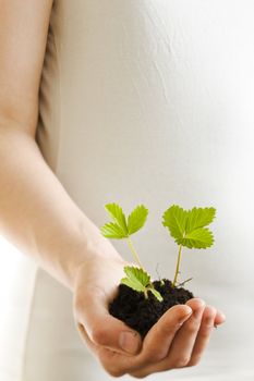 Girl holding a strawberry plant on her hand