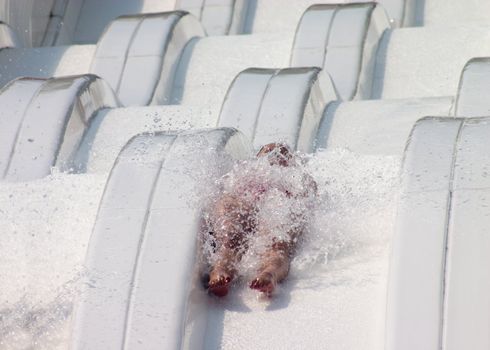 Child at a waterslide in aquapark