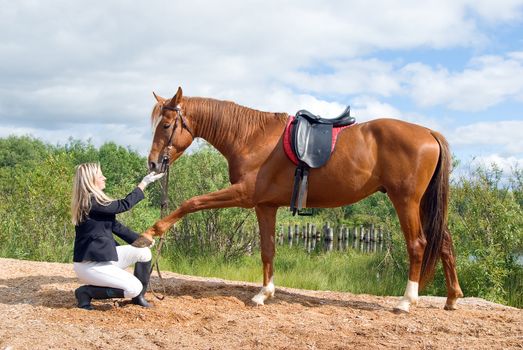 beautiful girl and her handsome horse.Friendship