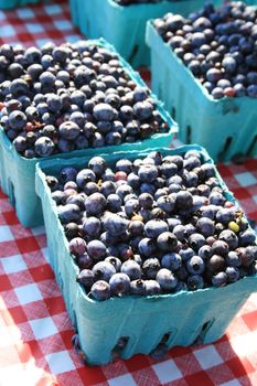 blue boxes of blueberries for sale, on a red and white tablecloth