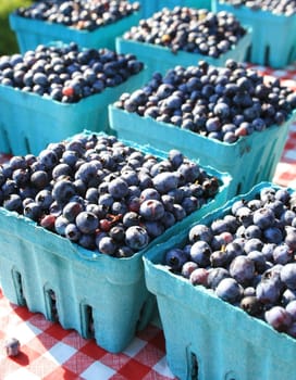 side view of boxes of blueberries for sale,  on a red and white tablecloth