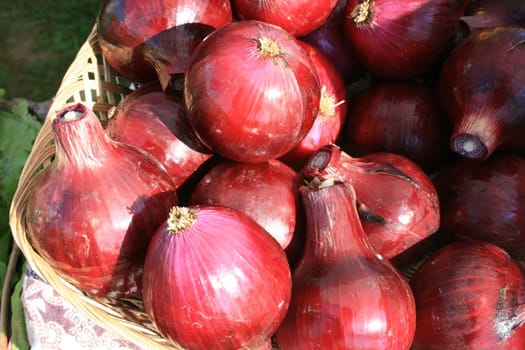 red onions for sale at the farmers market