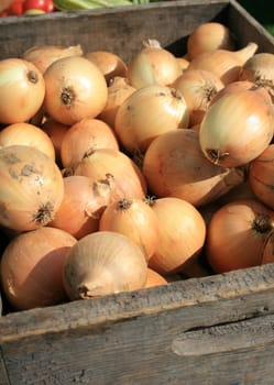 yellow onions in a wood crate, at the farmers market