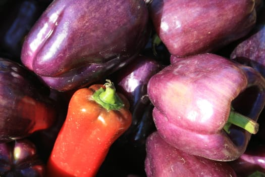 fresh purple and red peppers, at the farmers market