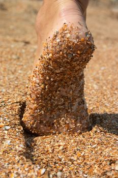 barefoot sole in sand and footprint