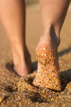 girl's barefoot legs on the sand beach