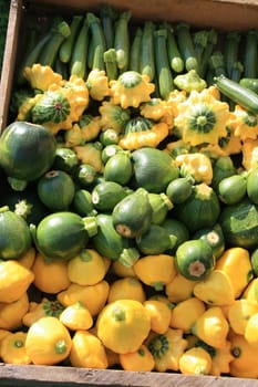 a variety of green and yellow squashes for sale at the local farmers market