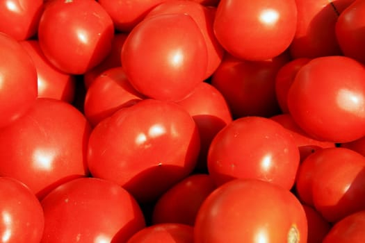 fresh tomatoes at the farmers market