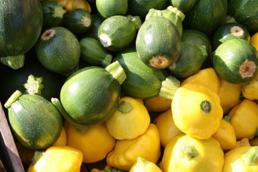 two varieties of fresh squash