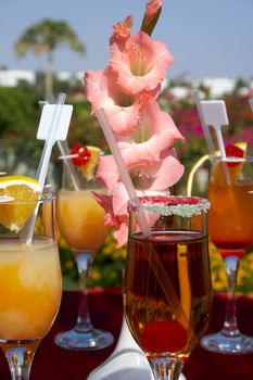 cocktails on the table at outdoor party