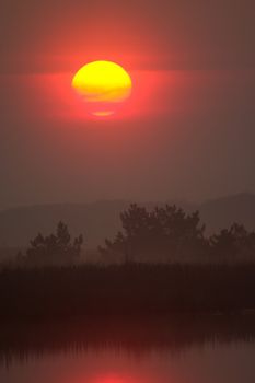 Sunrise over wild lake, covered by fog