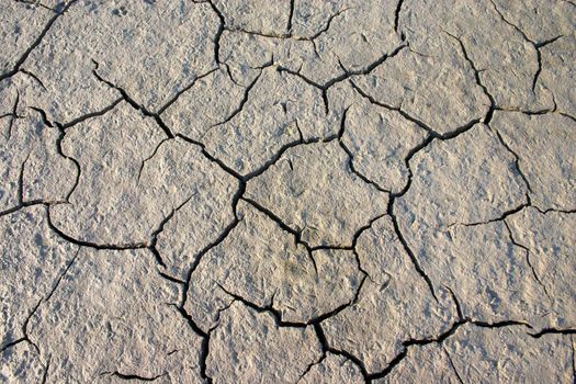 Fissures on a dried up mud