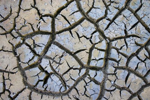 Fissures on the dry ground