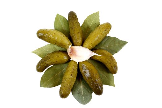 gherkins lies on laurel with garlic isolated on white background

