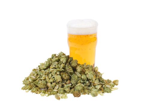 glass full of beer and hop isolated on white background