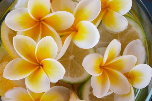 bowl with yellow orchid flowers and lime pices