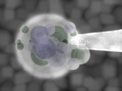 Grey Purple 3d Organic Cell Body Matter Medical Illustration with IVF