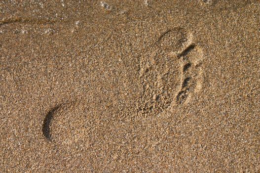 barefoot print on the sand at sea coast